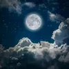 mouhamed.ben.amar4