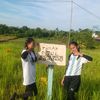 ririn.aulia887