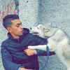 hamzajanin10