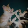 nancyjasminemolase31