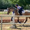 horse.lover126