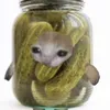 fatfatpicklecat