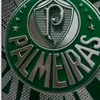 toinha.palmeirens