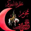user3087981560558