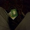 fares.saied.gabal