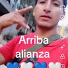 tafur.973
