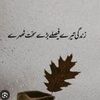 Mania Writes