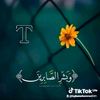 toybamohammed241