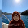 analniypovar