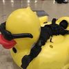 plate_armored_duck