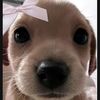 chloemitchel2
