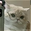 sofi_sassy