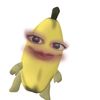 arinlaoudia