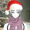 santinvnnp8