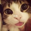 ara_nyeh