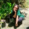 shellacantiqq1601