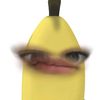 .imeiei