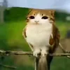 jjkvhfhx