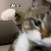 dnghiep0