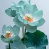 nghi.trn259