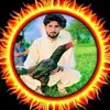 gulshan_ali1