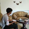 pkk.alyas