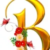 user72067045530327