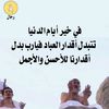 user4934674145043