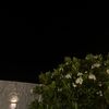 user8104106160327