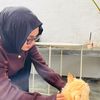 shayjj_