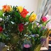 linda.kelly050
