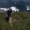 pxr_w0