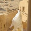 alsahsa