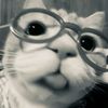 celukbaeikaa