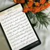 user1100225501551