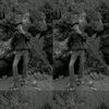 wlee_206