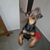 xx_user21