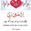 sumerahadi03