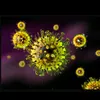 _virus12_