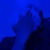 leao.angel0