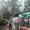 gracecajiganpangd