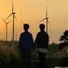 yhn_lei