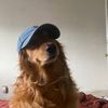 ploiisintrovert