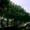 xiaorri7