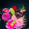 aniso.husseinhass0