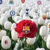 pecinta.barcalona