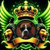 funnyanimals99tiktok