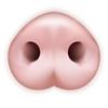 pigsniffer7