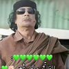 user7063275452037
