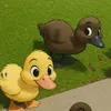 Duckumentary